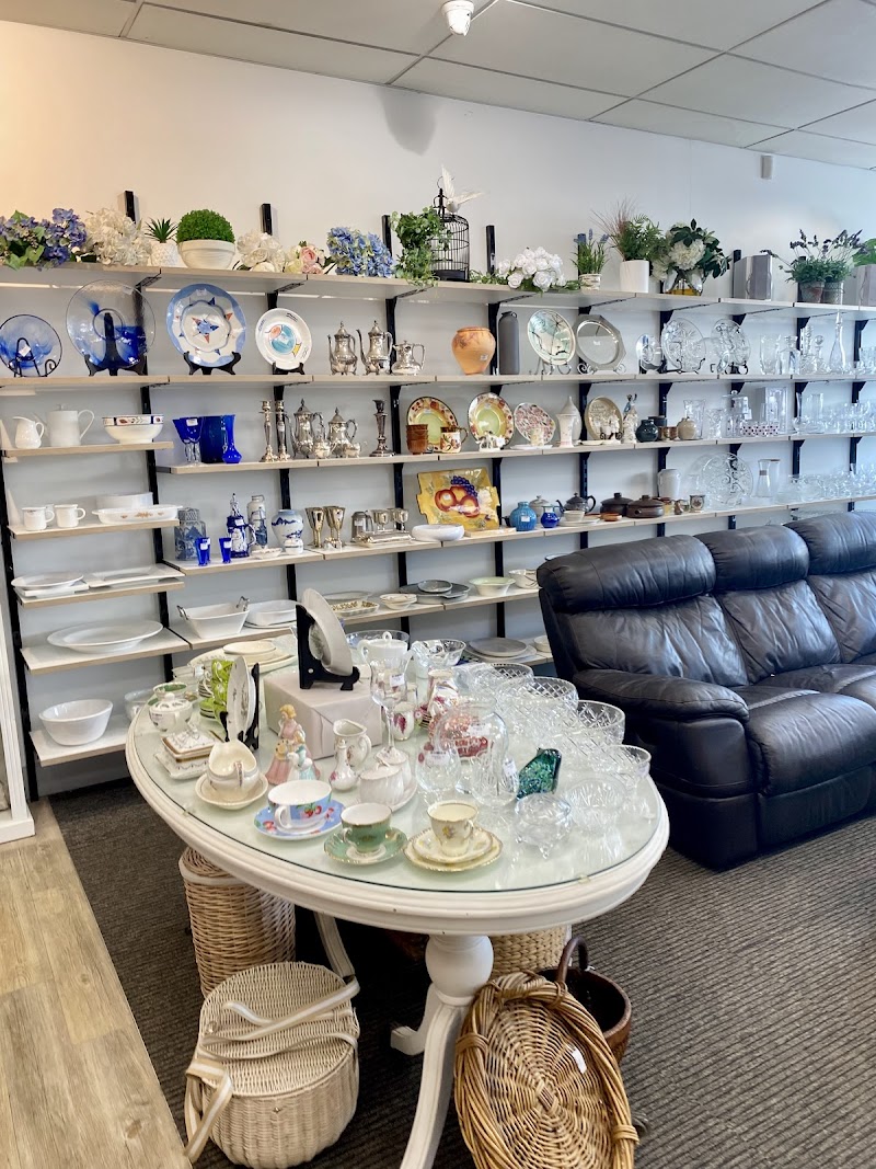 Check out Dove Hospice Remuera Shop in Remuera
