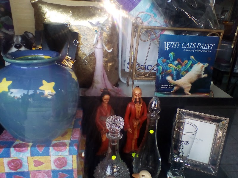 Check out Animal Welfare Op Shop Camberwell in Camberwell