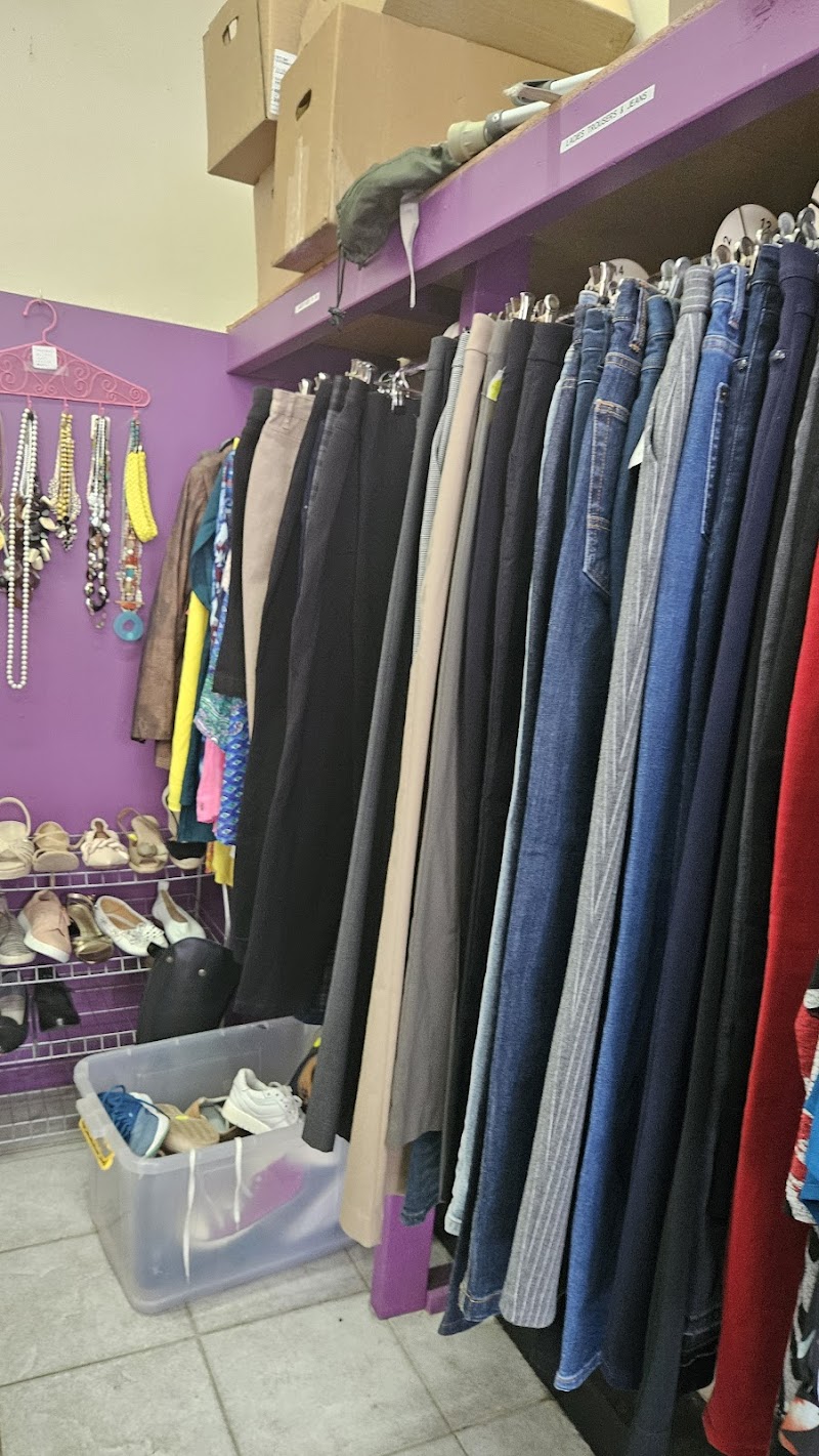 Check out Animal Welfare Op Shop Camberwell in Camberwell
