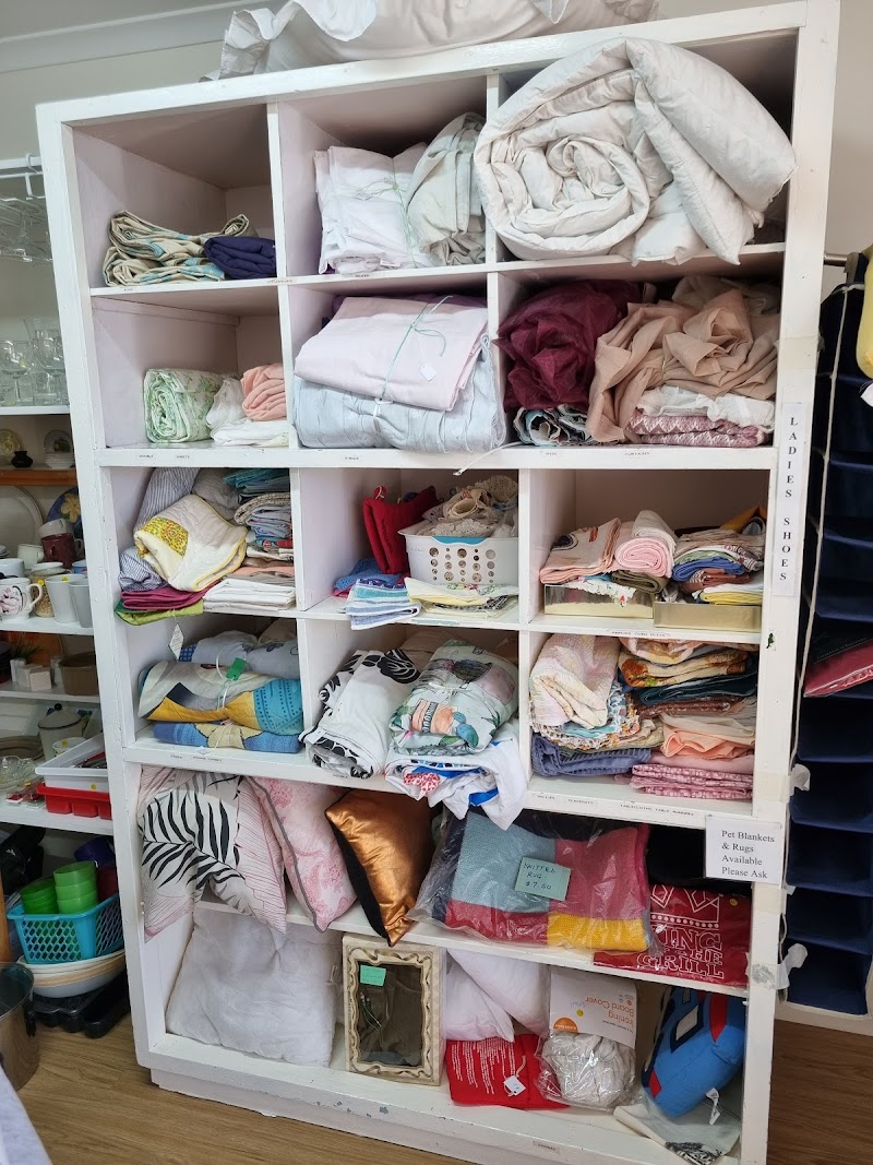 Check out Blue Care Allora Thrift Shop in Allora