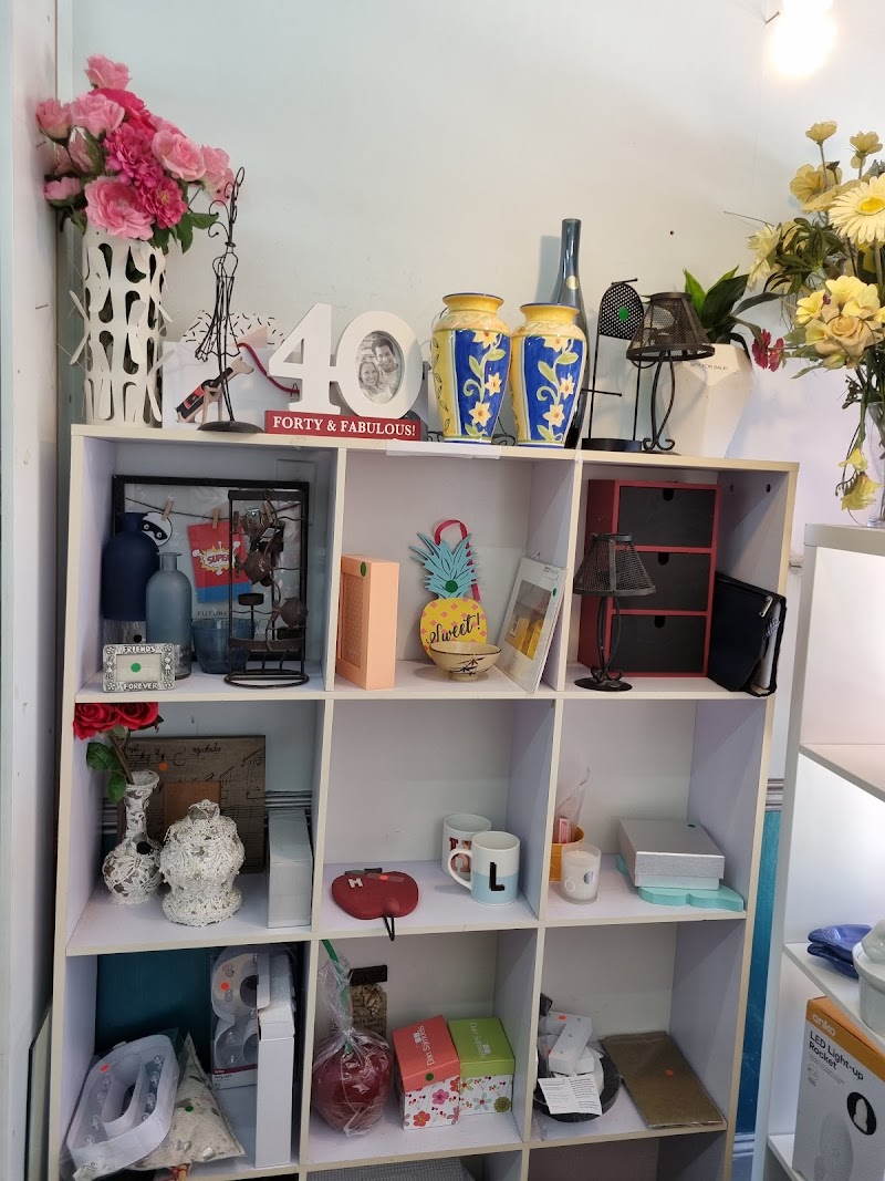 Check out Blue Care Allora Thrift Shop in Allora