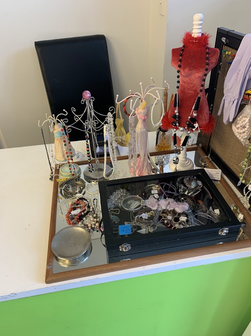Check out Somervell Opportunity Shop in Remuera