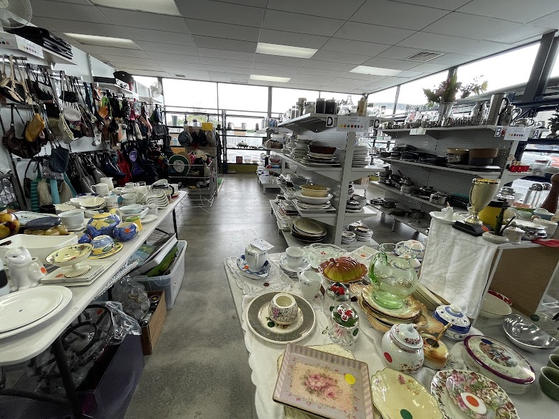 Check out Dove Hospice Shop Panmure in Panmure