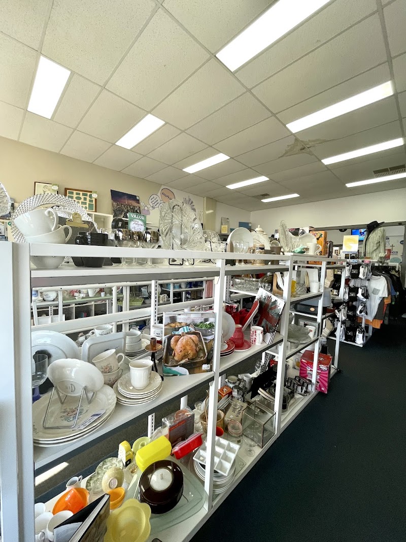 Check out Vinnies Castlemaine in CASTLEMAINE