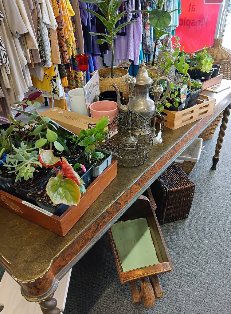 Check out Harbour Hospice Shop – Wellsford in Wellsford