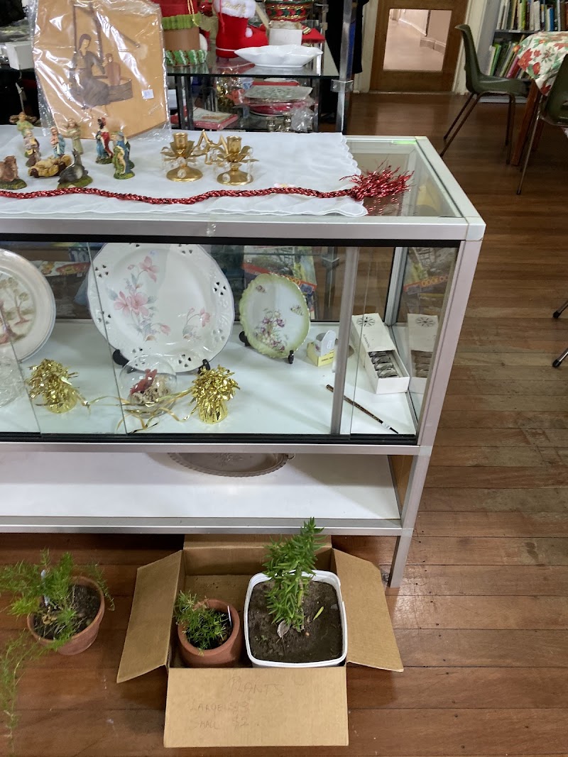 Check out Goodies "Op" Shop in Norwood