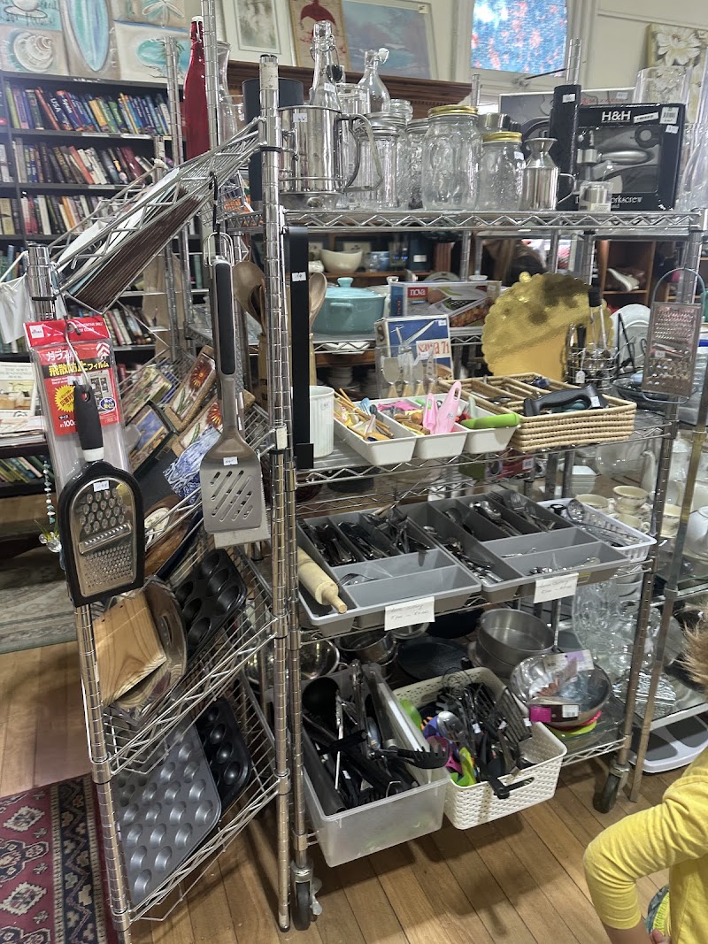 Check out Goodies "Op" Shop in Norwood