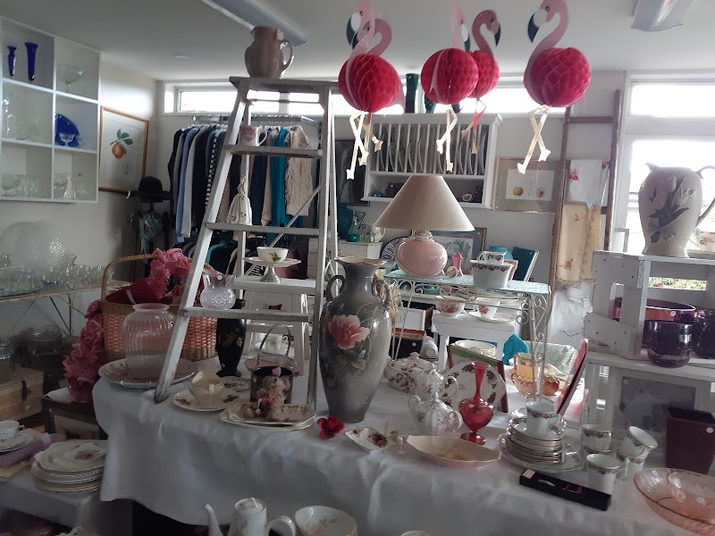 Check out Orbell Street Hospice Shop in Highfield