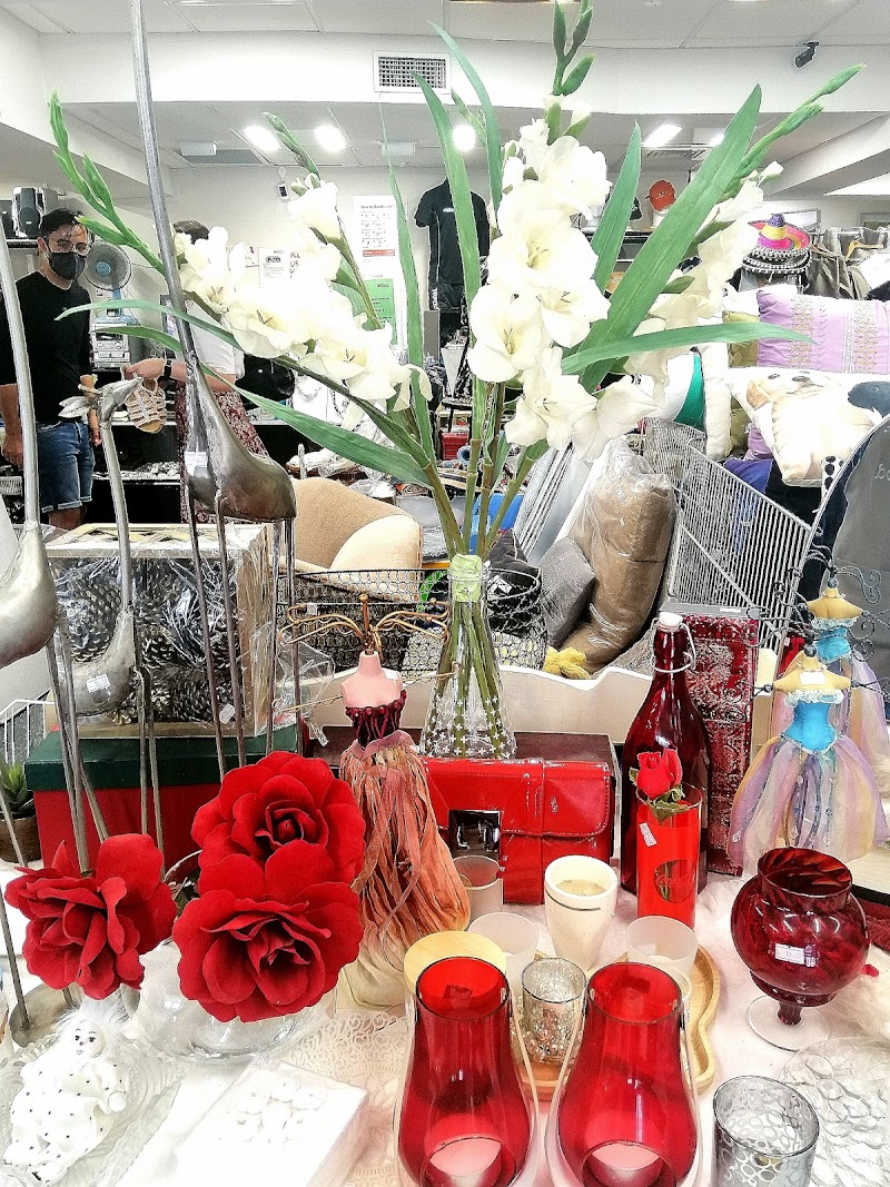 Check out Mary Potter Hospice Shop – Karori in Karori