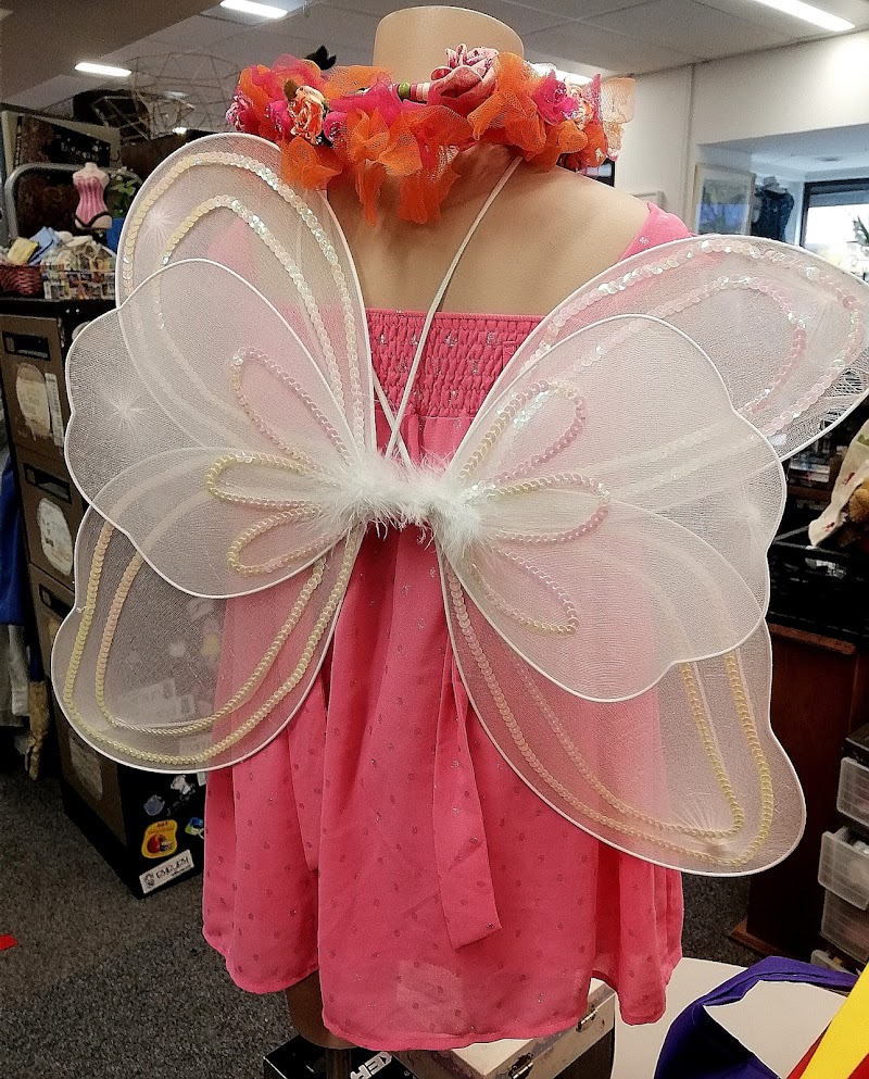 Check out Mary Potter Hospice Shop – Karori in Karori