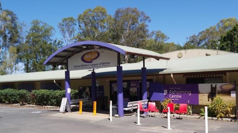 Check out AWLQ Currumbin in Currumbin Waters
