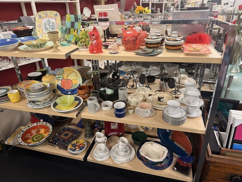 Check out Harbour Hospice Shop – Link Drive, Wairau Valley in Northcote