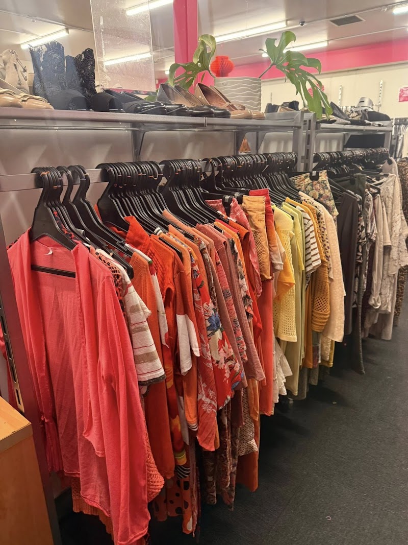 Check out Harbour Hospice Shop – Link Drive, Wairau Valley in Northcote