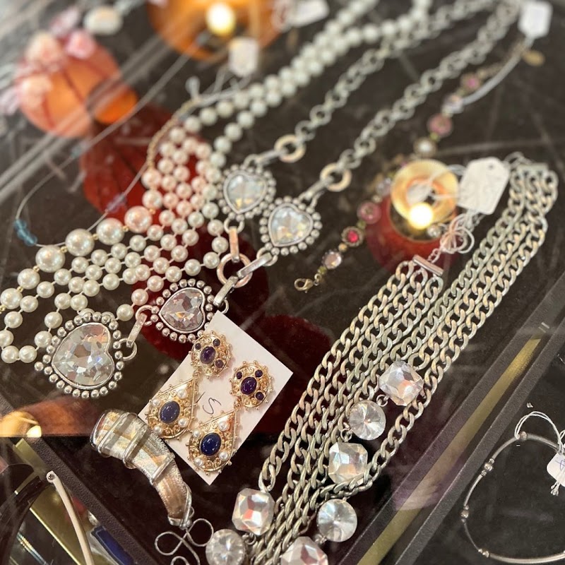 Check out Harbour Hospice Shop – Link Drive, Wairau Valley in Northcote