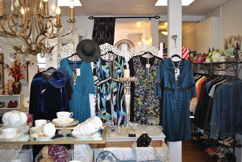 Check out Hospice Shop Waikato – Va Va Voom Boutique in Hamilton East