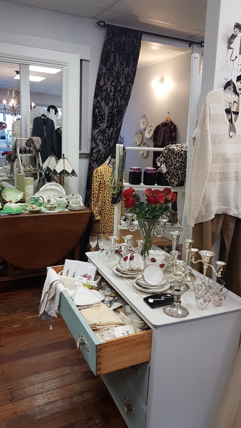 Check out Hospice Shop Waikato – Va Va Voom Boutique in Hamilton East