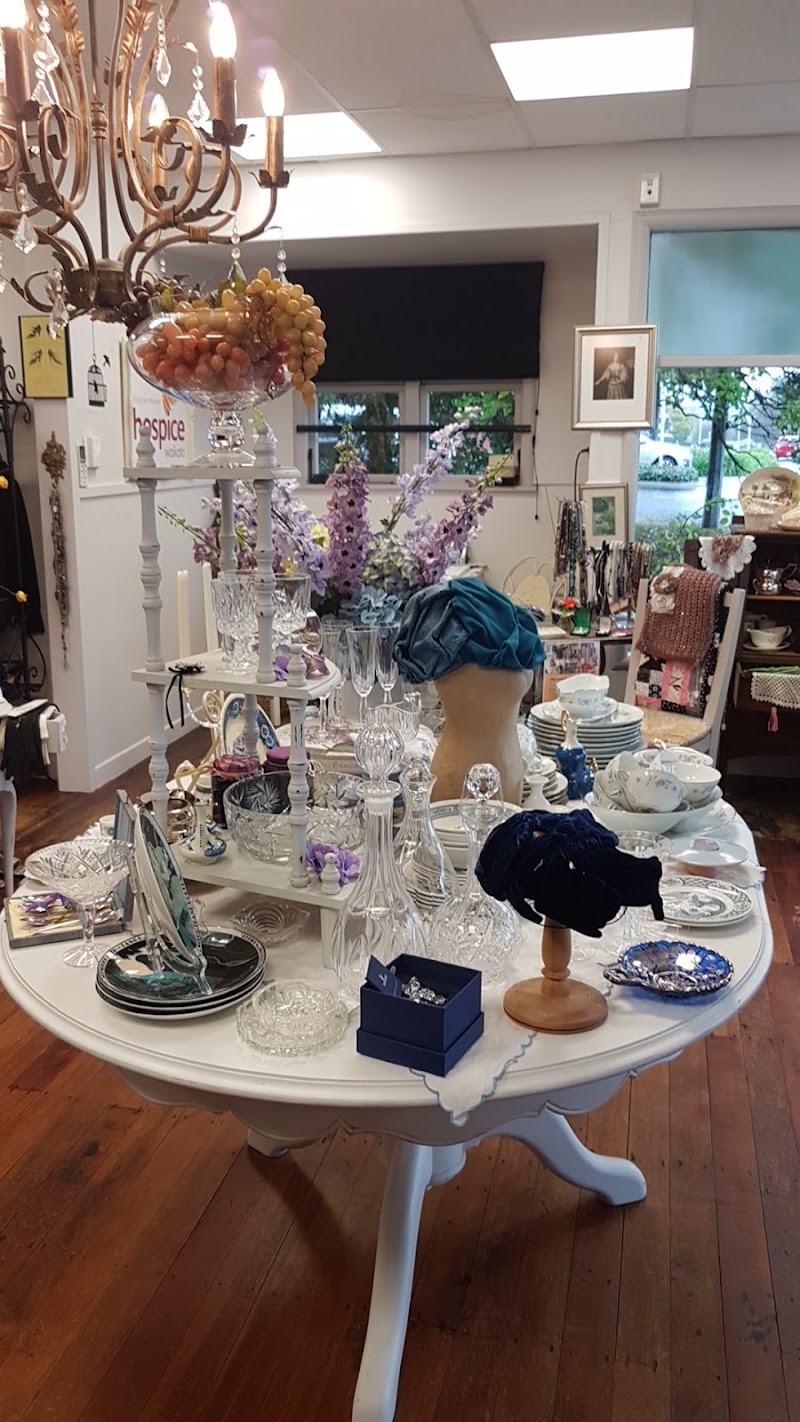 Check out Hospice Shop Waikato – Va Va Voom Boutique in Hamilton East