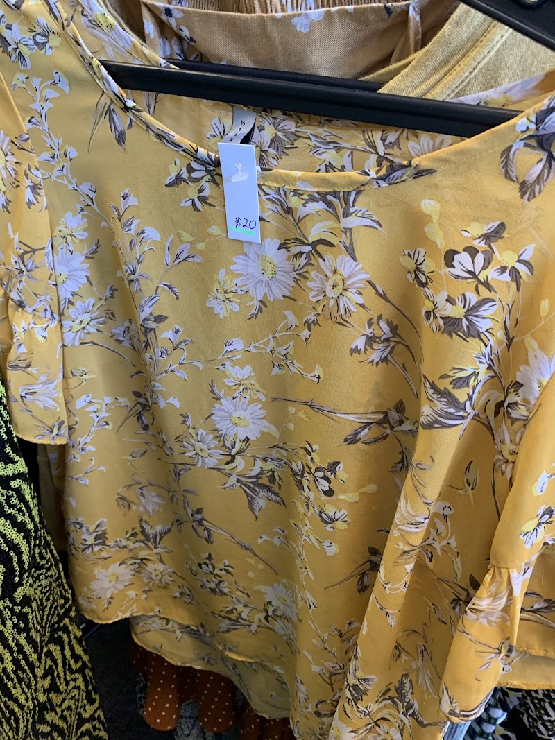 Check out Mercy Hospice Mt Eden Shop in Mt Eden