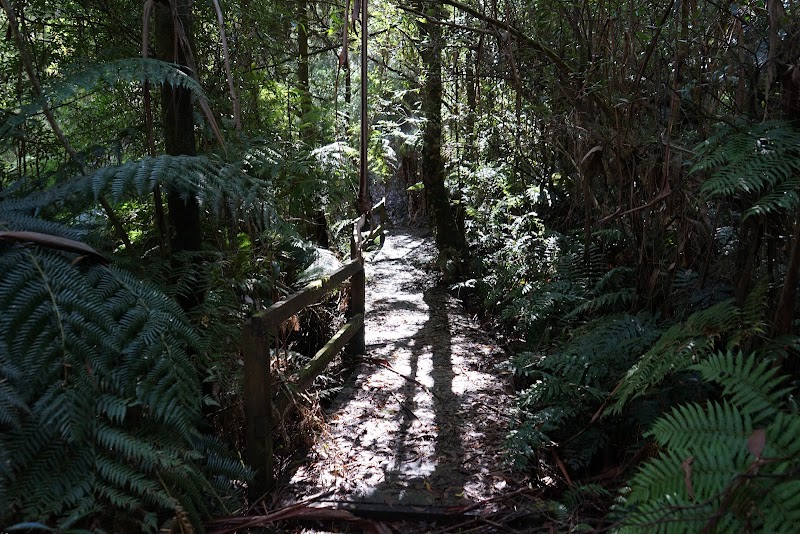 Check out Toolangi Treasures in Chum Creek