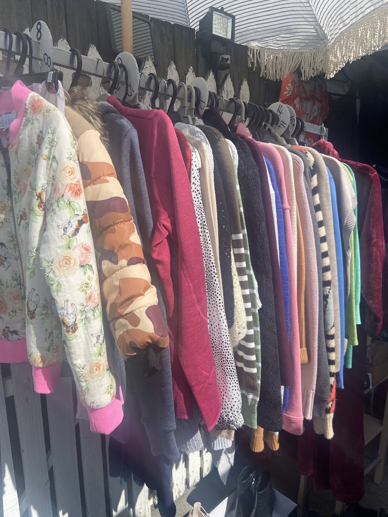 Check out Alexandra Street Op Shop Paddington in Paddington
