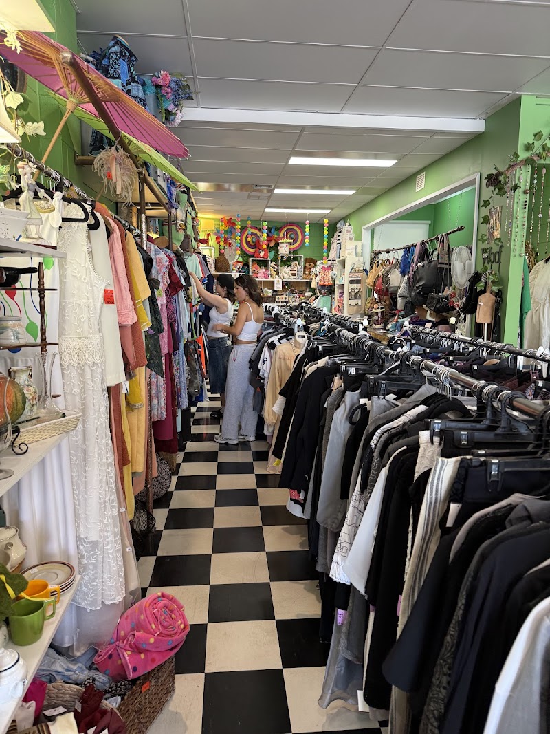 Check out Victory Op Shop Kennington in Kennington