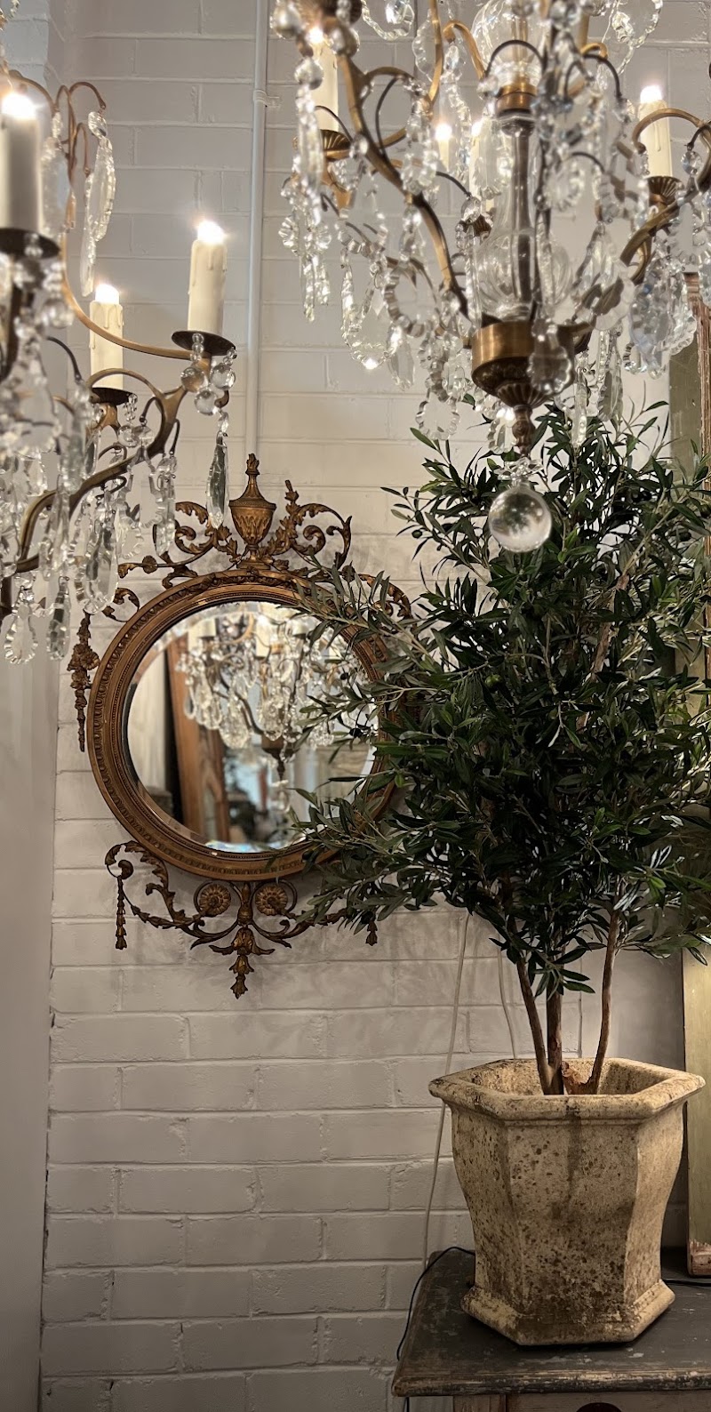 Check out Shades of Pale in Leichhardt