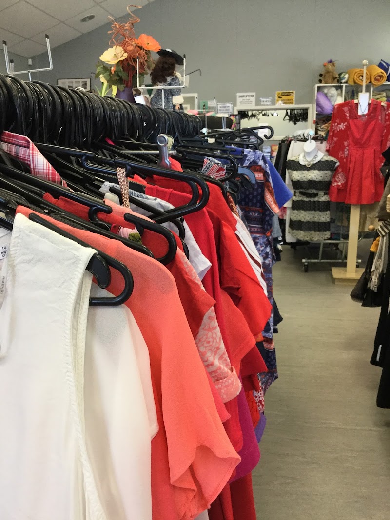 Check out The Good Opportunity Shop in Mount Maunganui