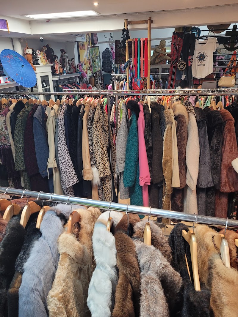 Check out A Star Is Worn in Norwood