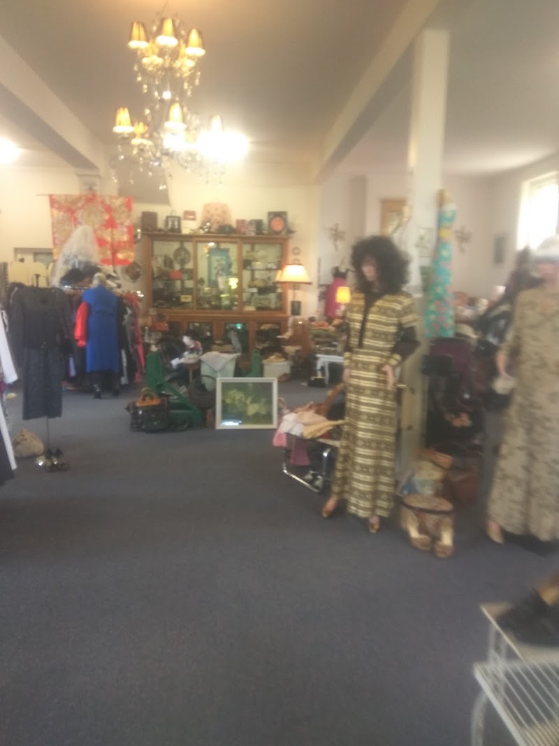 Check out Elegantly Waisted Vintage Clothing Emporium in Temuka