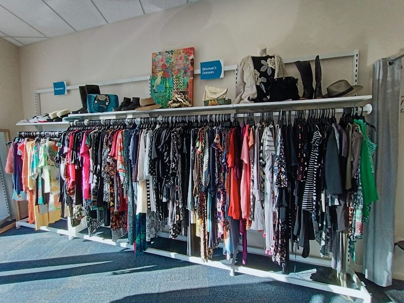 Check out SPCA Op Shop Long Bay in Long Bay