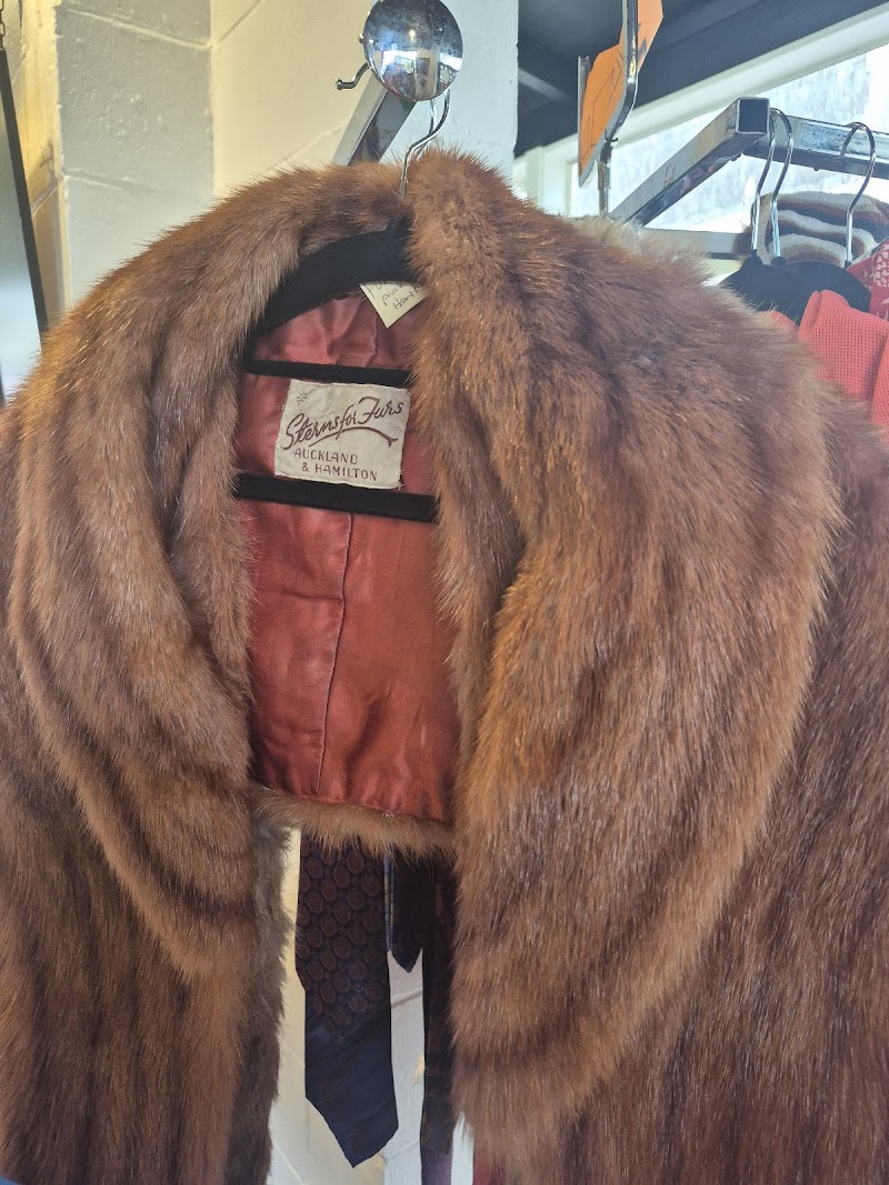 Check out Vintage Vibes in Paraparaumu Beach
