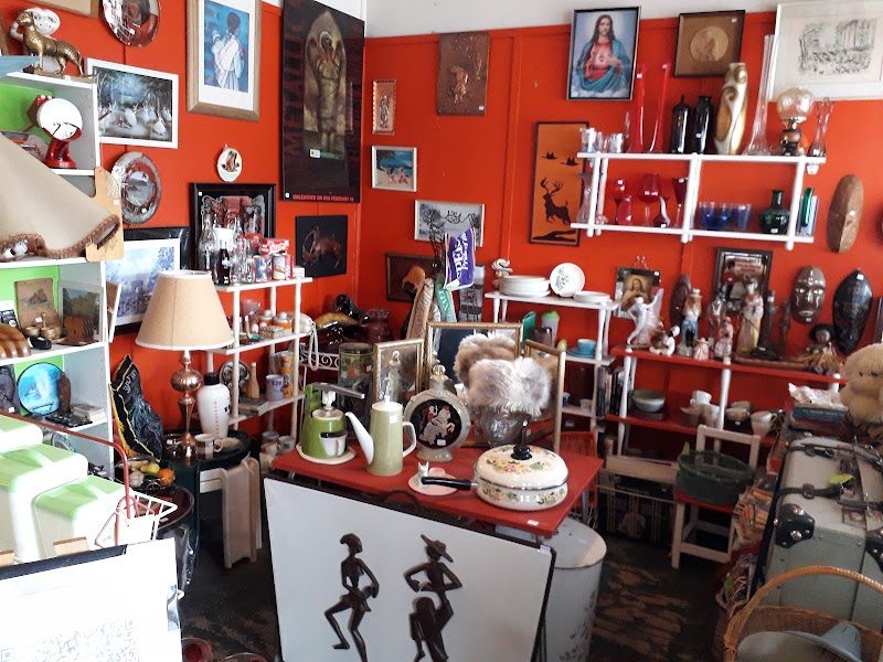 Check out The Oddity Second Hand shop in Waikouaiti