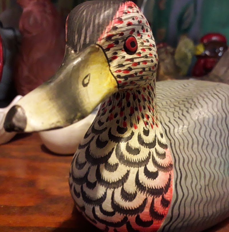 Check out The Oddity Second Hand shop in Waikouaiti