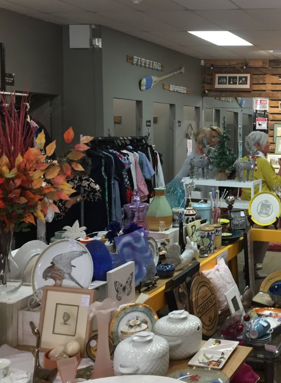 Check out Dove Hospice St Heliers Shop in St Heliers