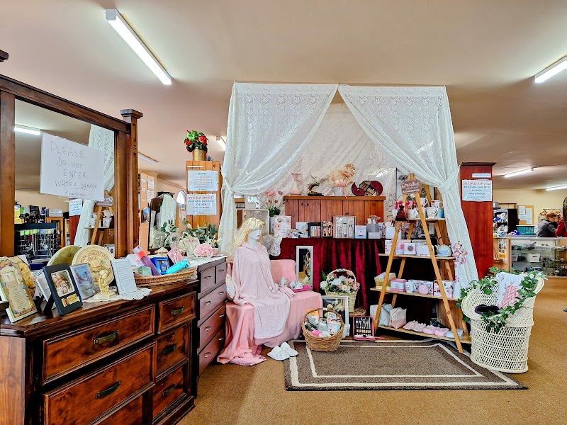 Check out Lifeline Shop Maitland in Maitland