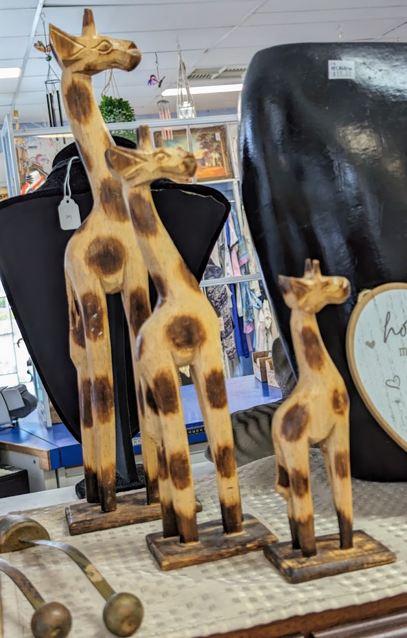 Check out Lifeline Shop Woorim in Woorim