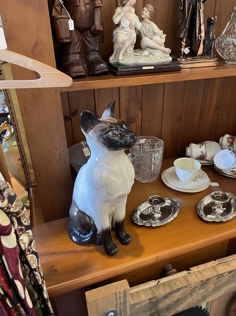 Check out Just Browsing in Yelverton