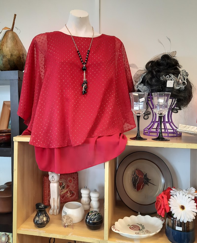 Check out The Hospice Shop – Massey in Massey