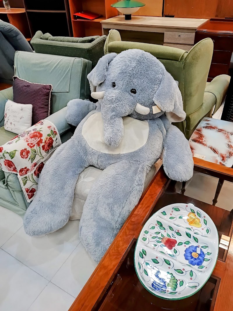 Check out Hospice Shop Rotorua in Rotorua