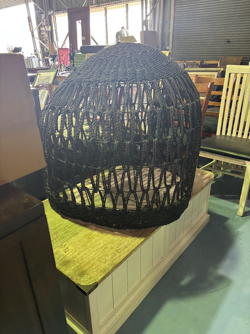 Check out Randall’s Thrift Northgate in Northgate