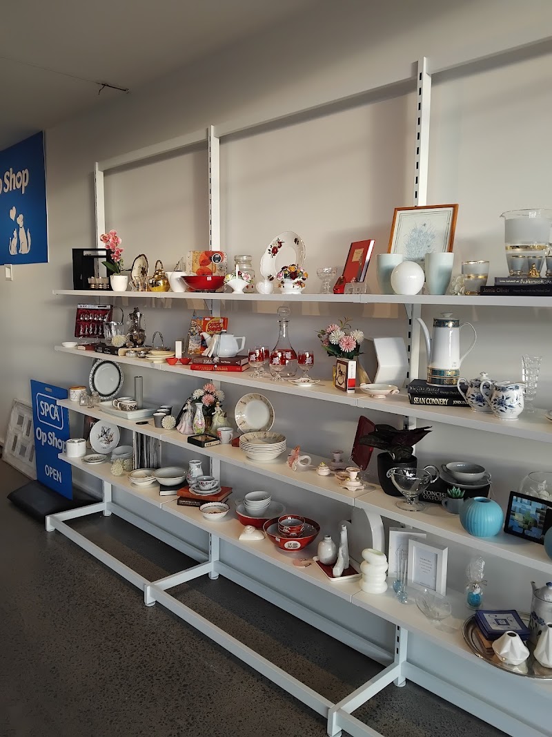Check out SPCA Op Shop Mt Eden in Mount Eden