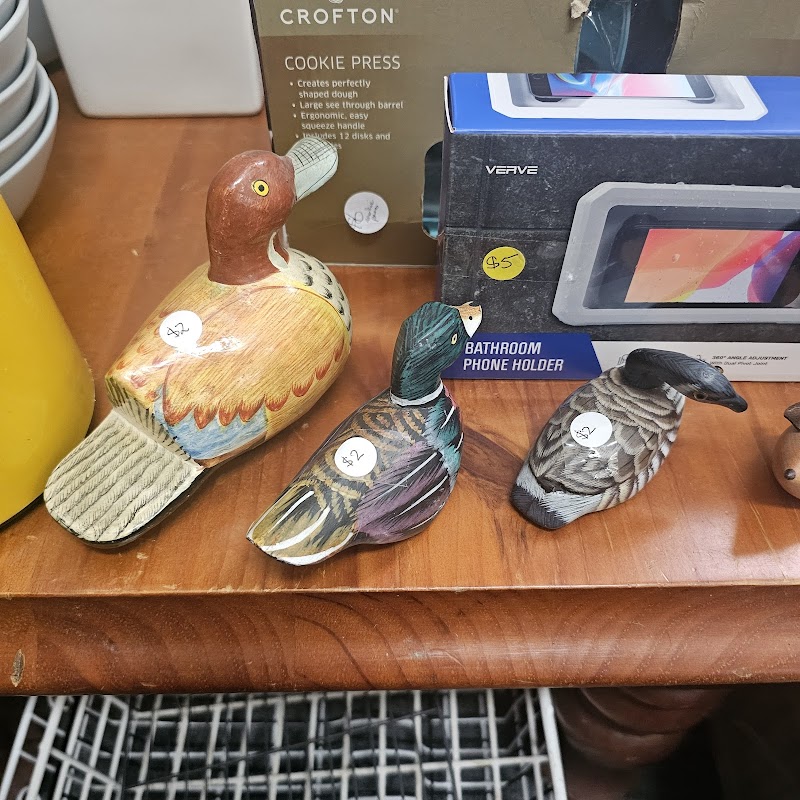 Check out Bargain Bazaar Charity Shop in Maroubra