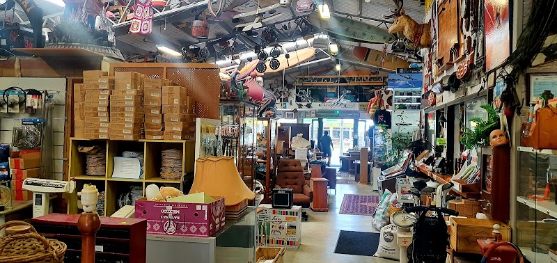 Check out Barwicks Auction Mart 2011 in Gisborne