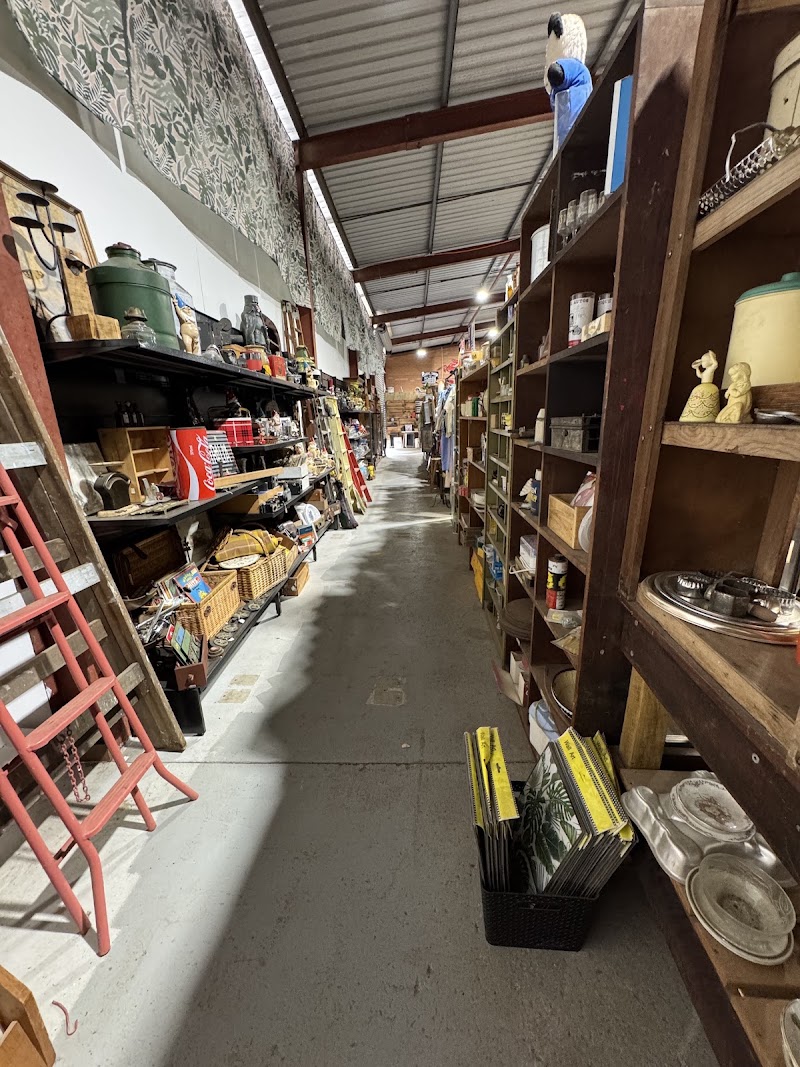 Check out Annie's Collective Wonderland in Bellevue