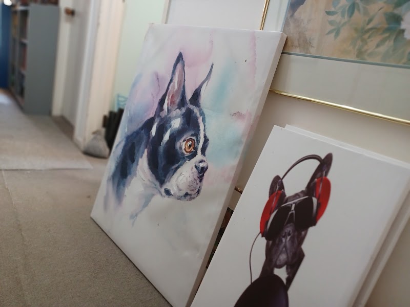 Check out SPCA Op Shop Kerikeri in Kerikeri