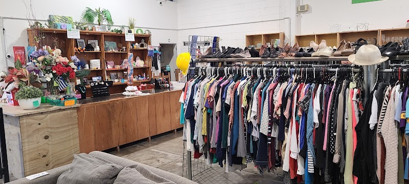 Check out Free For All in Petone