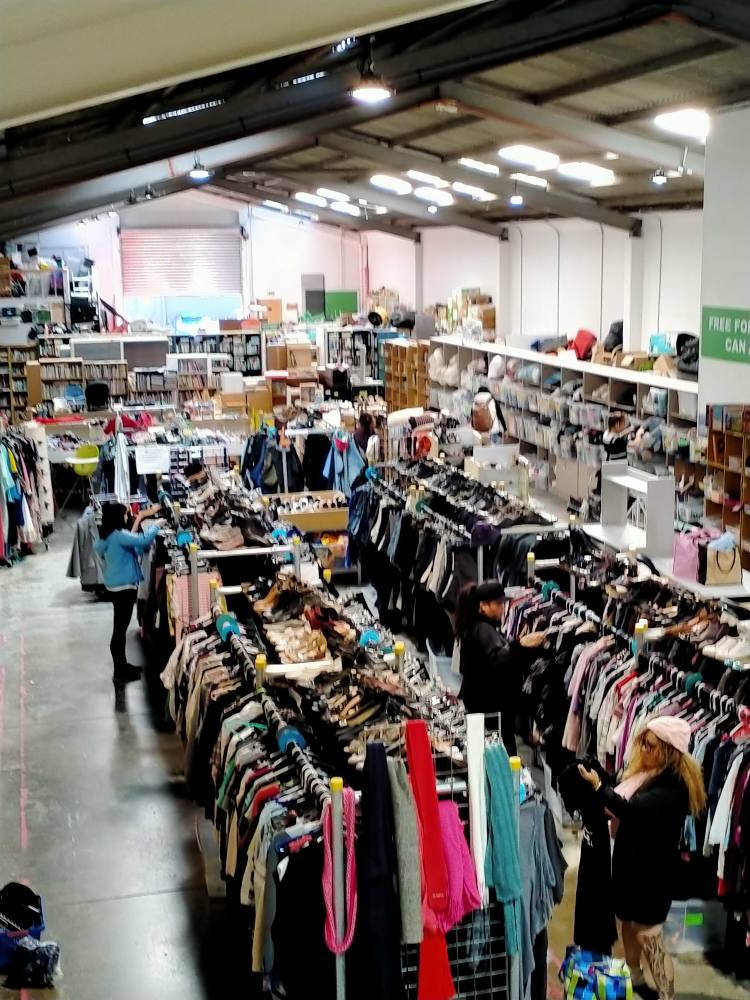 Check out Free For All in Petone