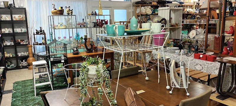 Check out Kuljish Traders in Dargaville