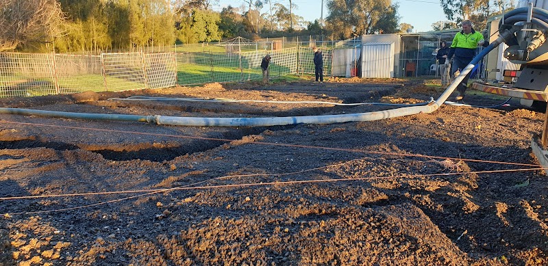 Check out RSPCA in Castlemaine