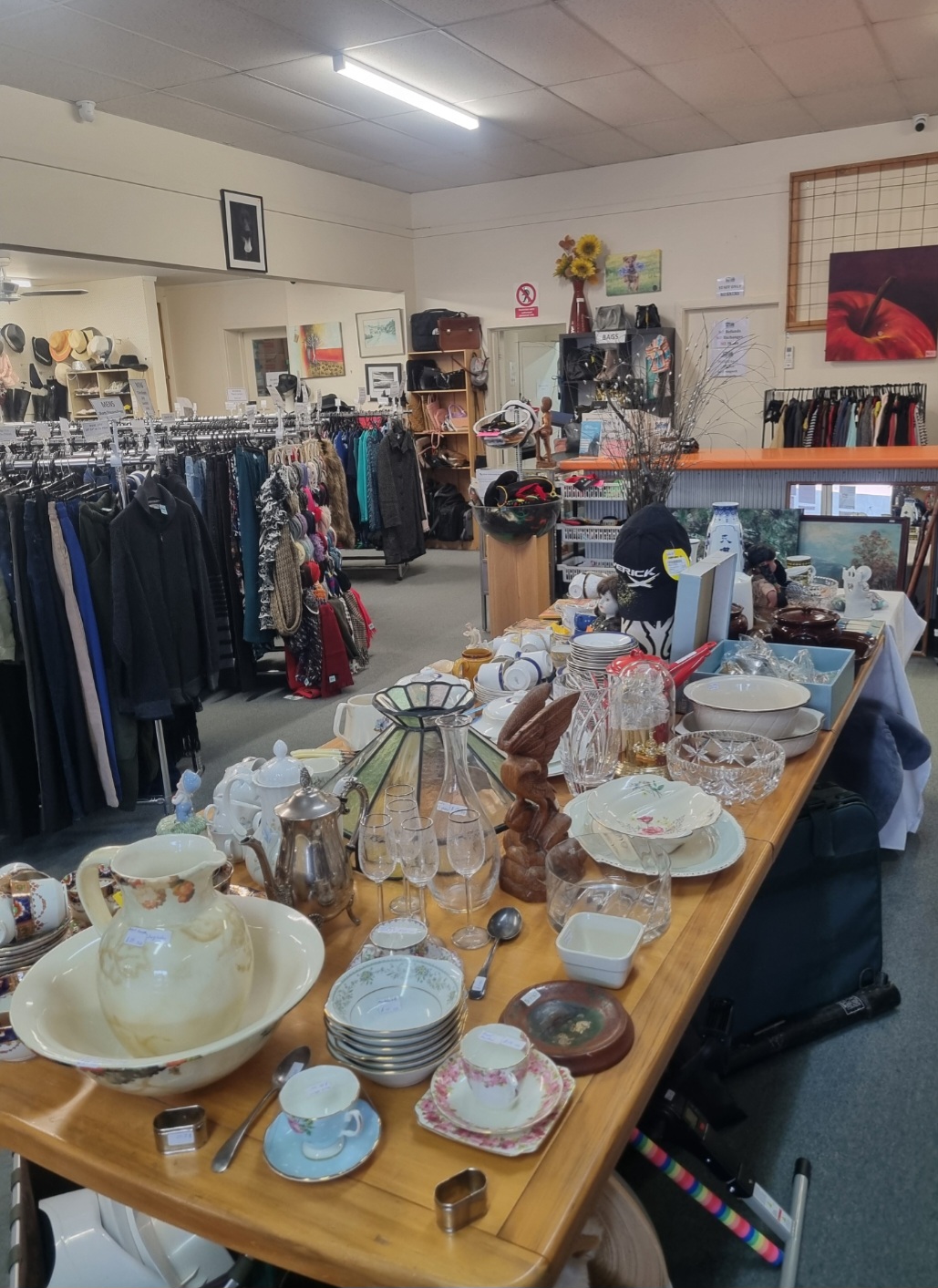 Check out New Lives Animal Rescue Op Shop in Ngāruawāhia